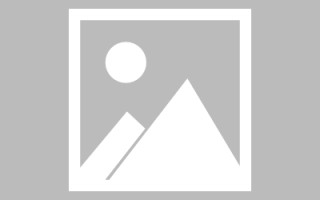 河间武清网站建设方案（天津武清政府招标网）